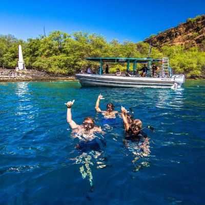 Premium Morning Snorkeling Tour in Kona