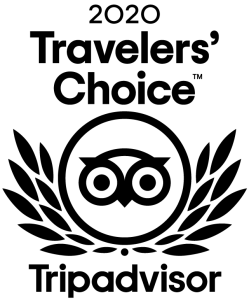 Tripadvisor 2020