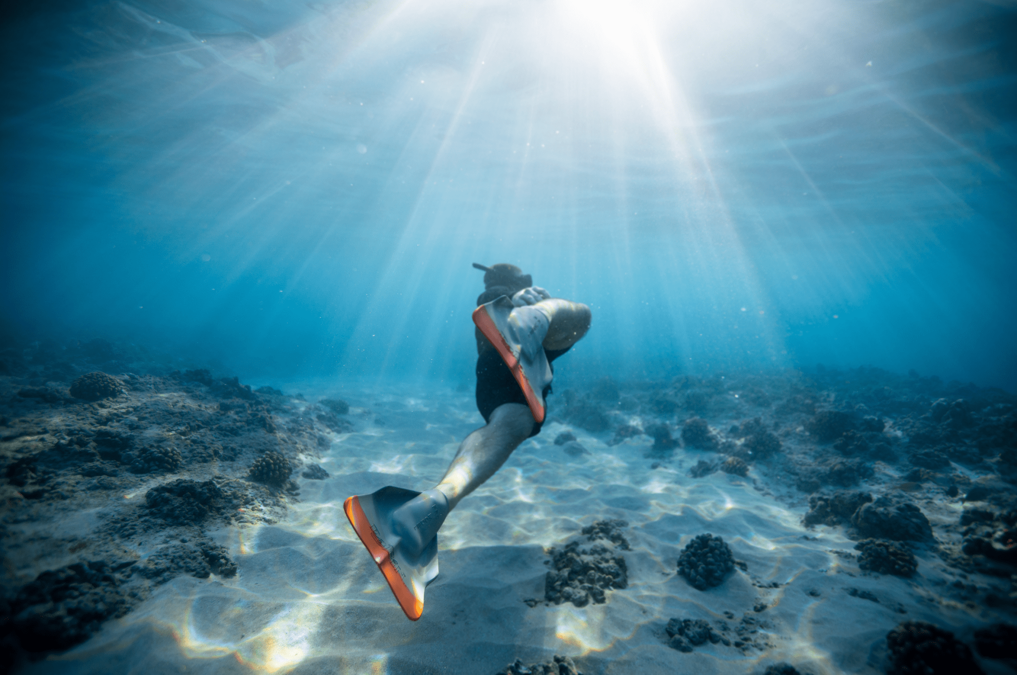 snorkeling tours near me in Kona snorkeling tours near me in Kona