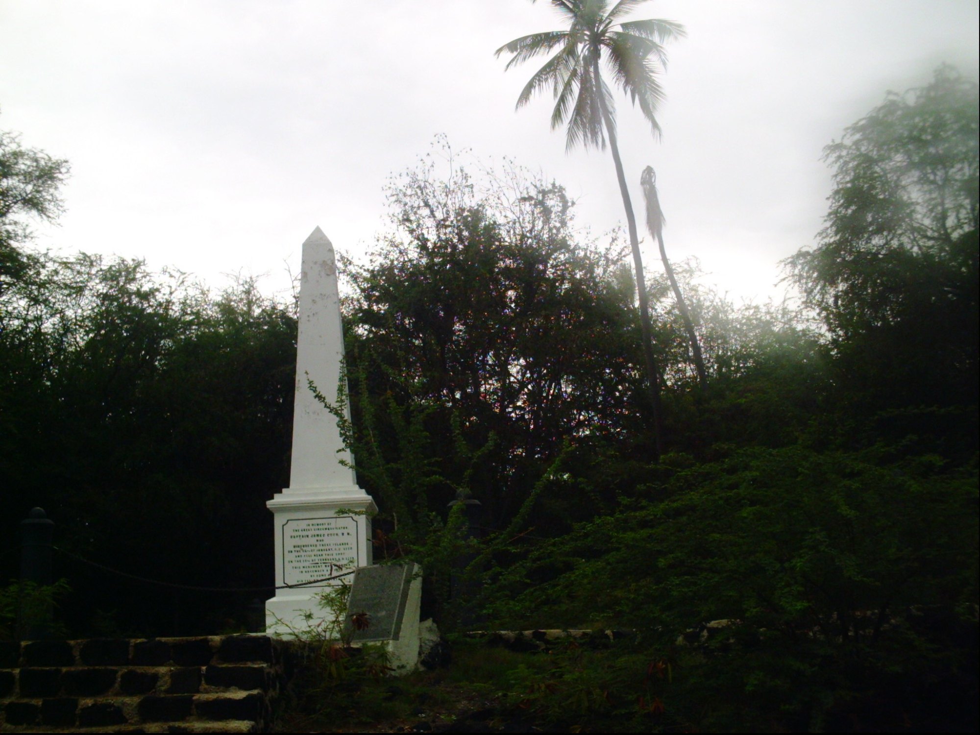 captain Cook snorkel tour