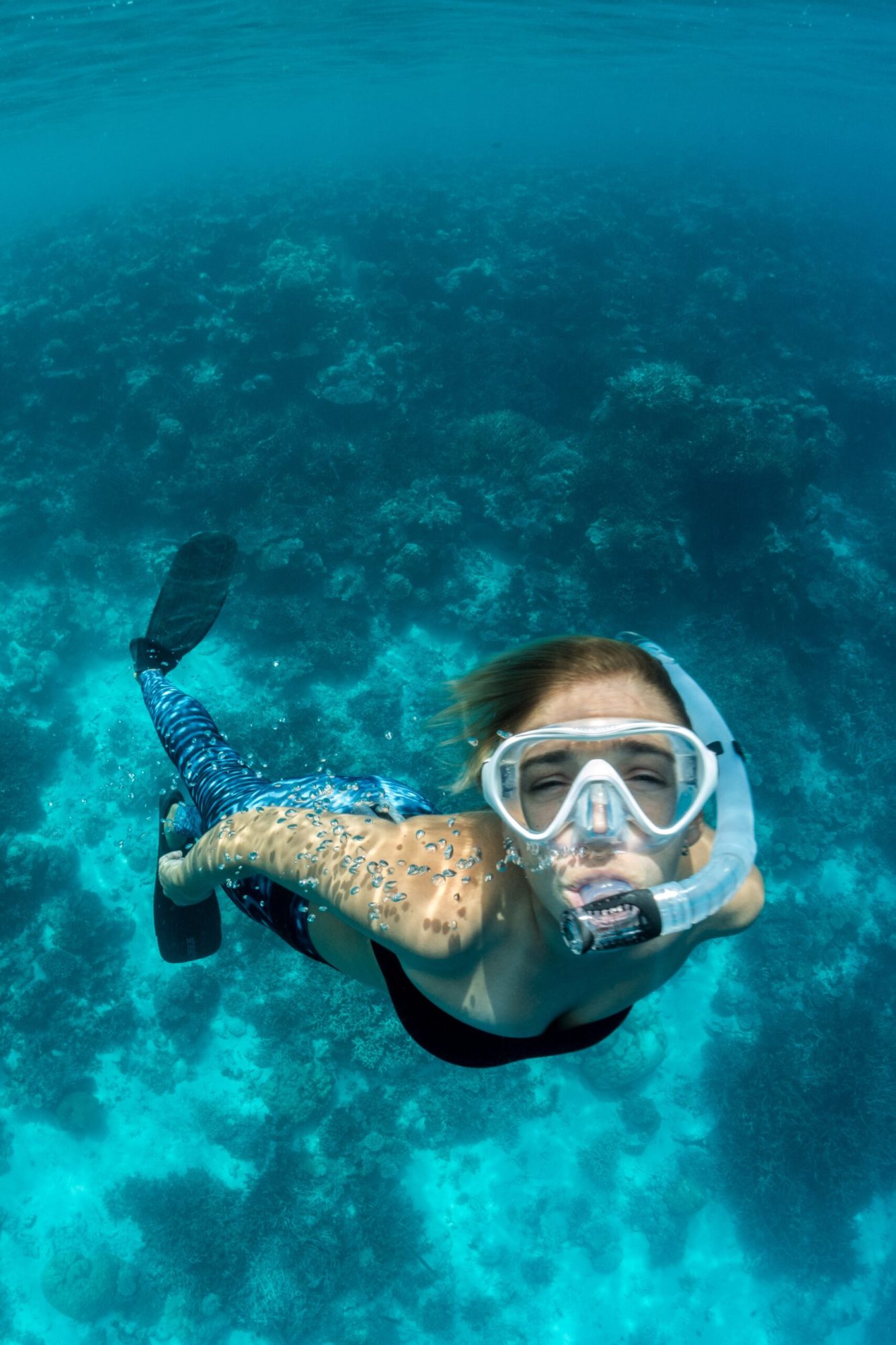 Kona Private Snorkel Tours Kona Private Snorkel Tours
