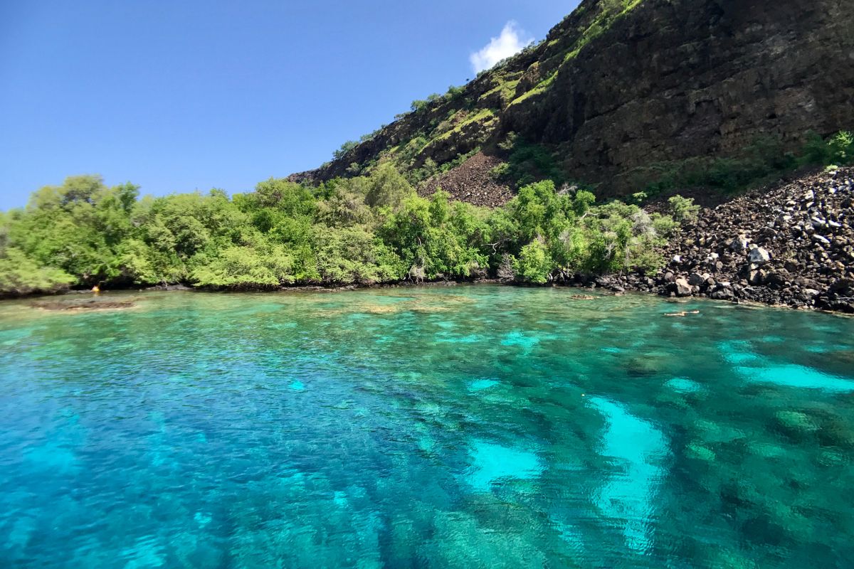 Big Island Private Boat Tours Big Island Private Boat Tours