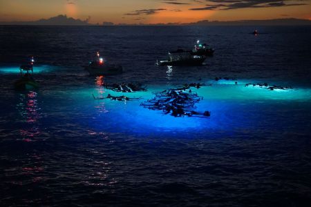 Night Snorkeling with Manta Rays
