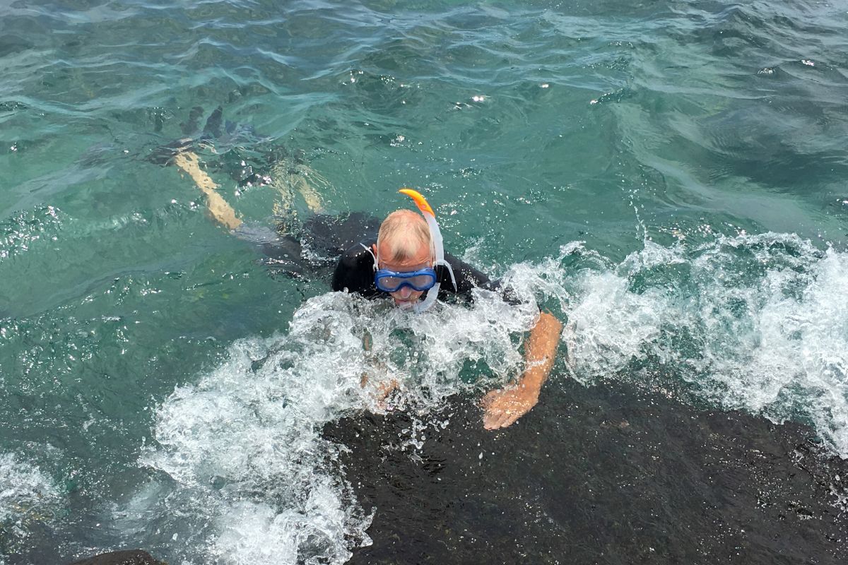 Snorkeling Companies in Kona Hawaii Snorkeling Companies in Kona Hawaii