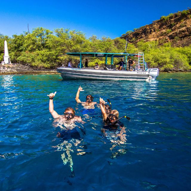 what to do in Kona premium morning snorkel tour