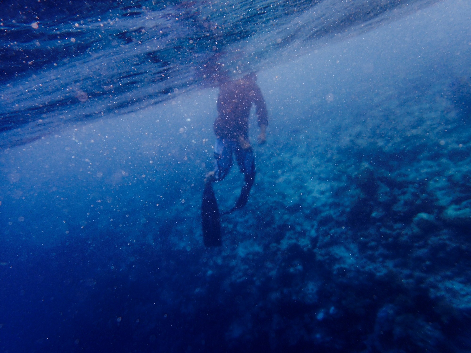 Where to Snorkel in Hawaii Where to Snorkel in Hawaii