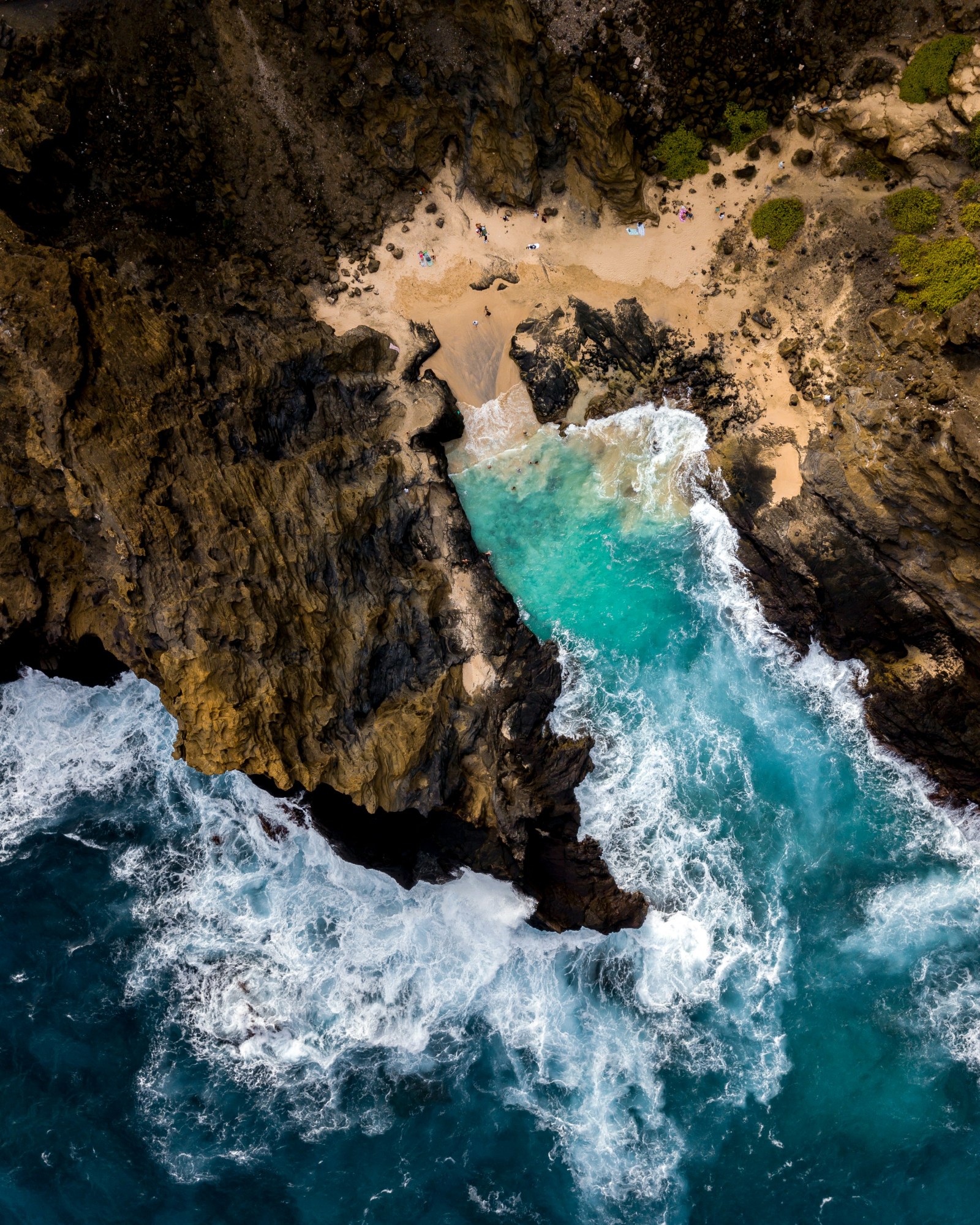 Hawaiian Coastline Adventures