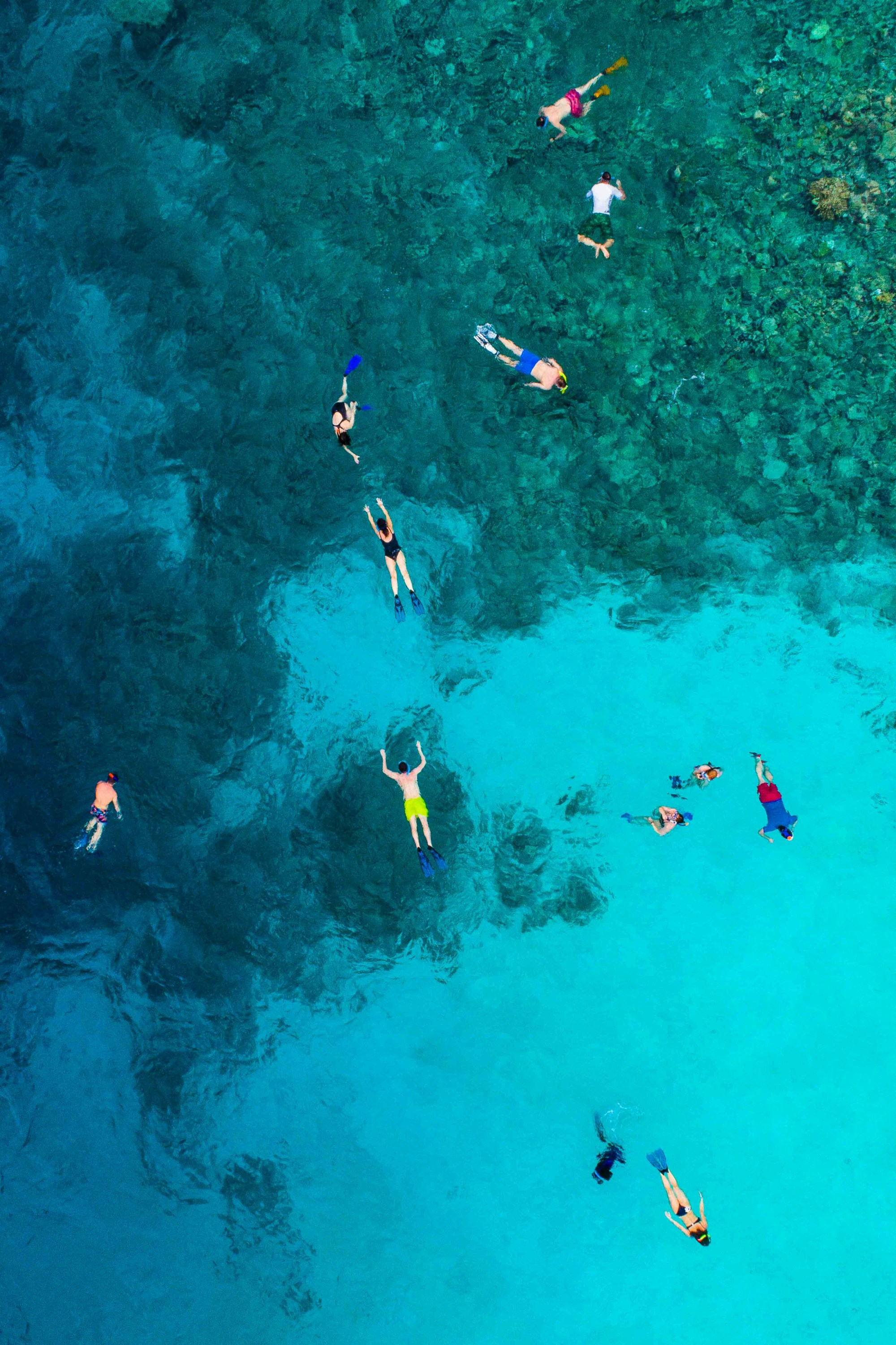 How to Prepare for Snorkeling in Hawaii How to Prepare for Snorkeling in Hawaii
