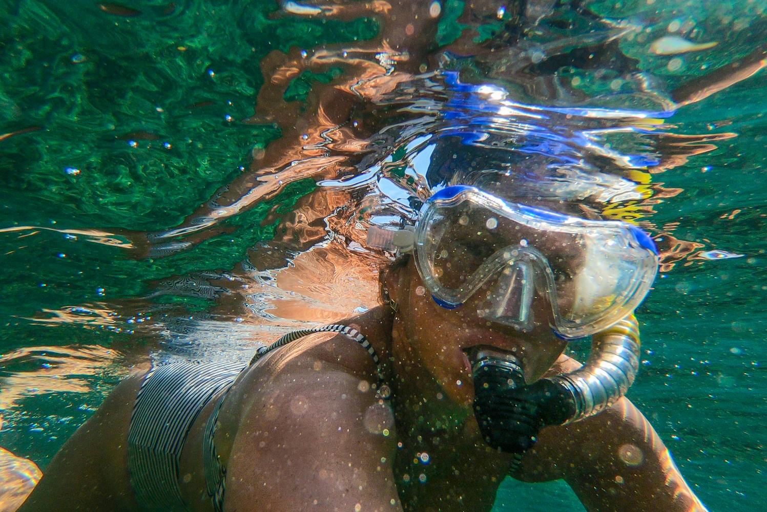 an animal swimming in the water