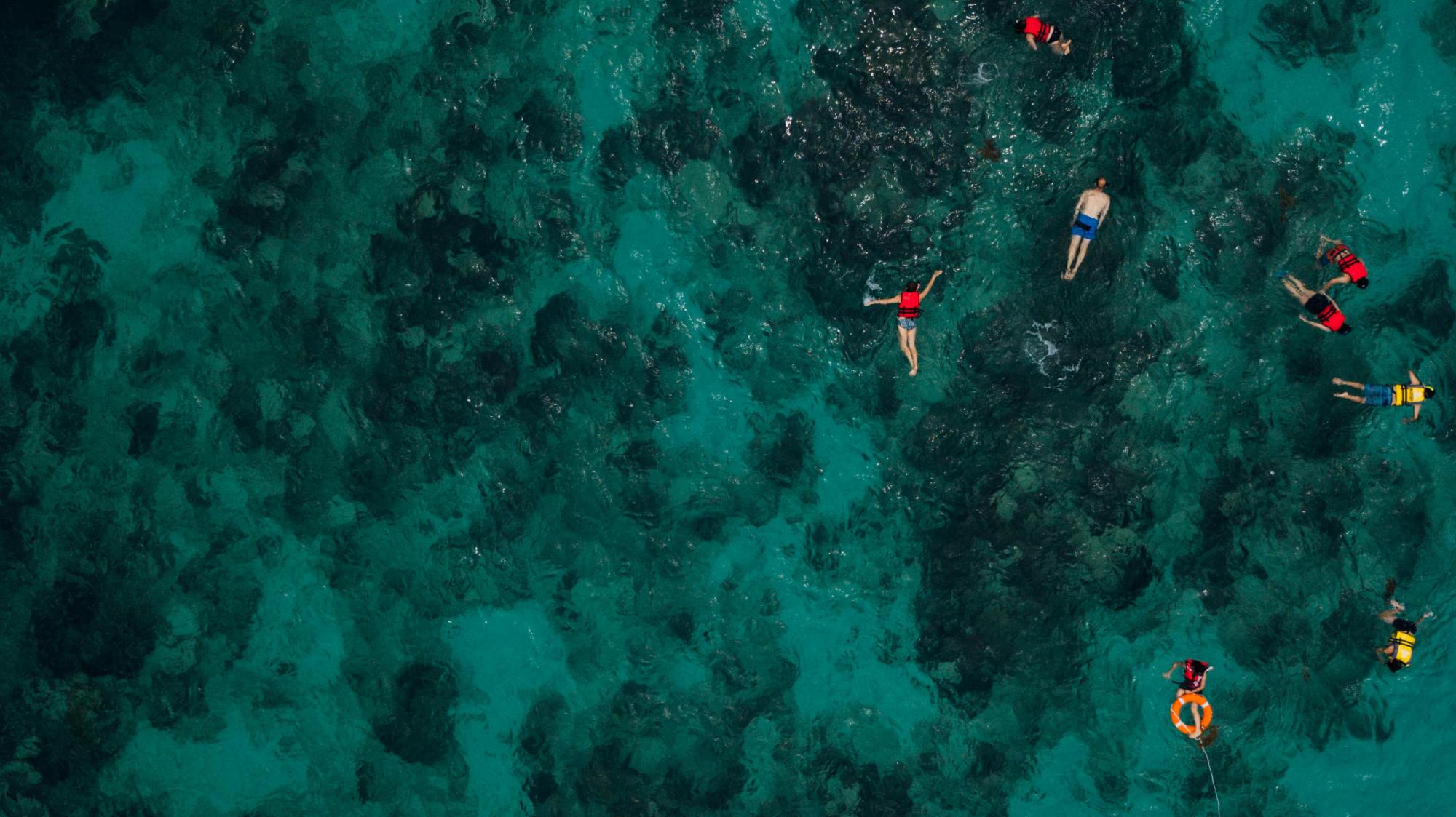 What is Best Time of Day to Snorkel Puʻuhonua o Hōnaunau? Aerial view of people swimming in clear turquoise water.