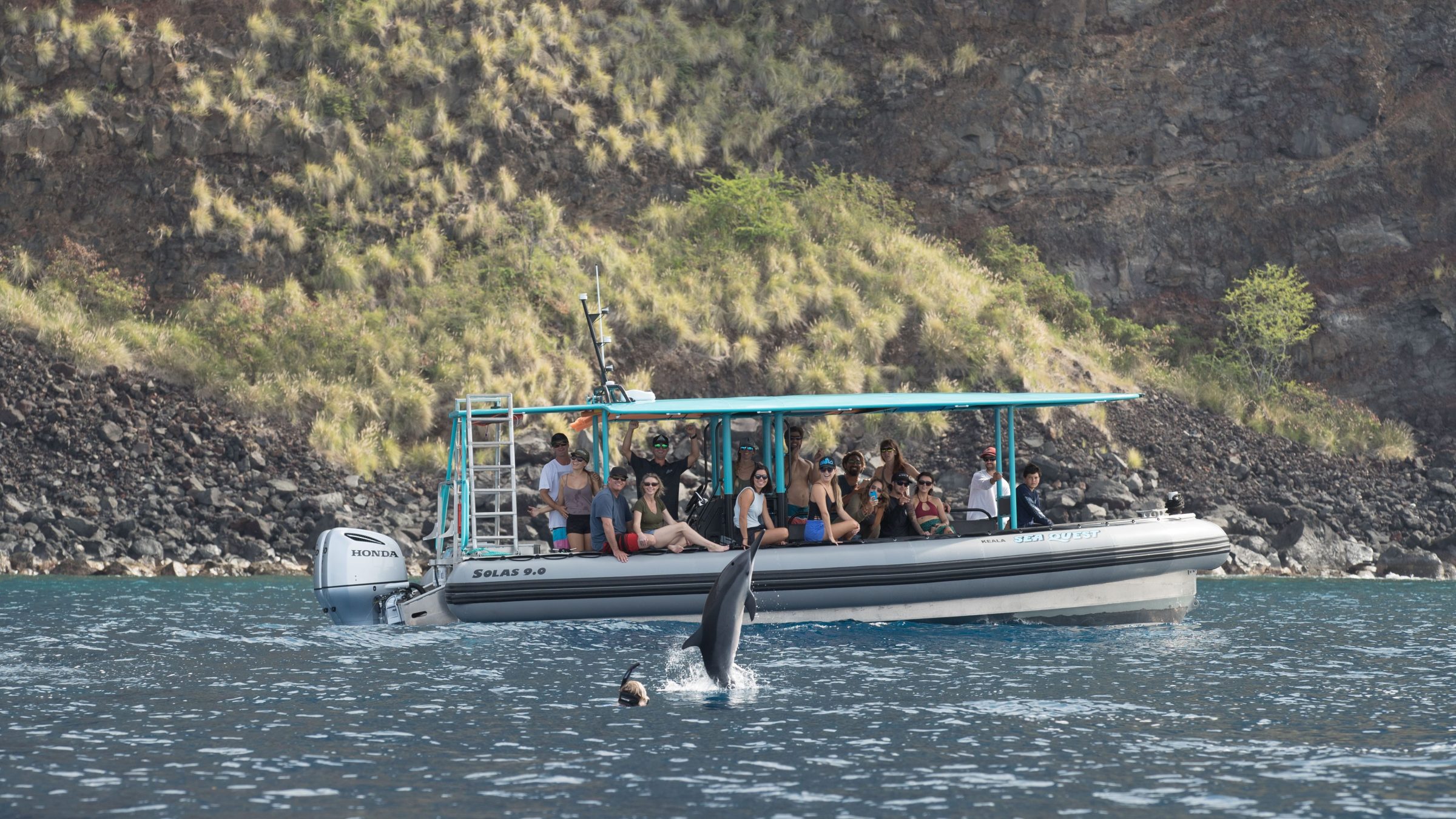 Boat with people watching a dolphin near a rocky coastline.