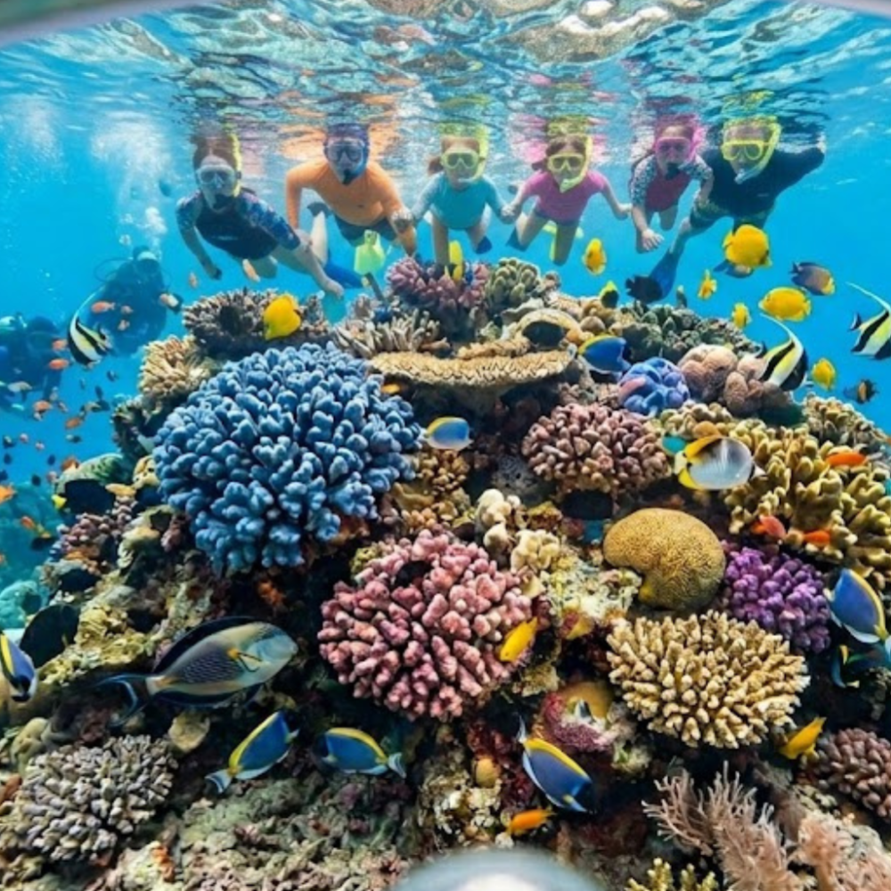 Snorkelers swim above vibrant coral reef with colorful fish in clear water.