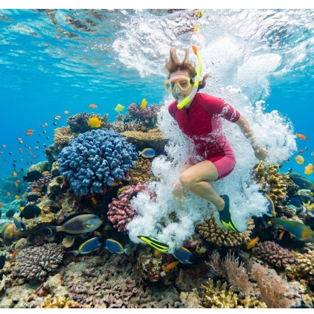 Person snorkeling over colorful coral reef with fish.