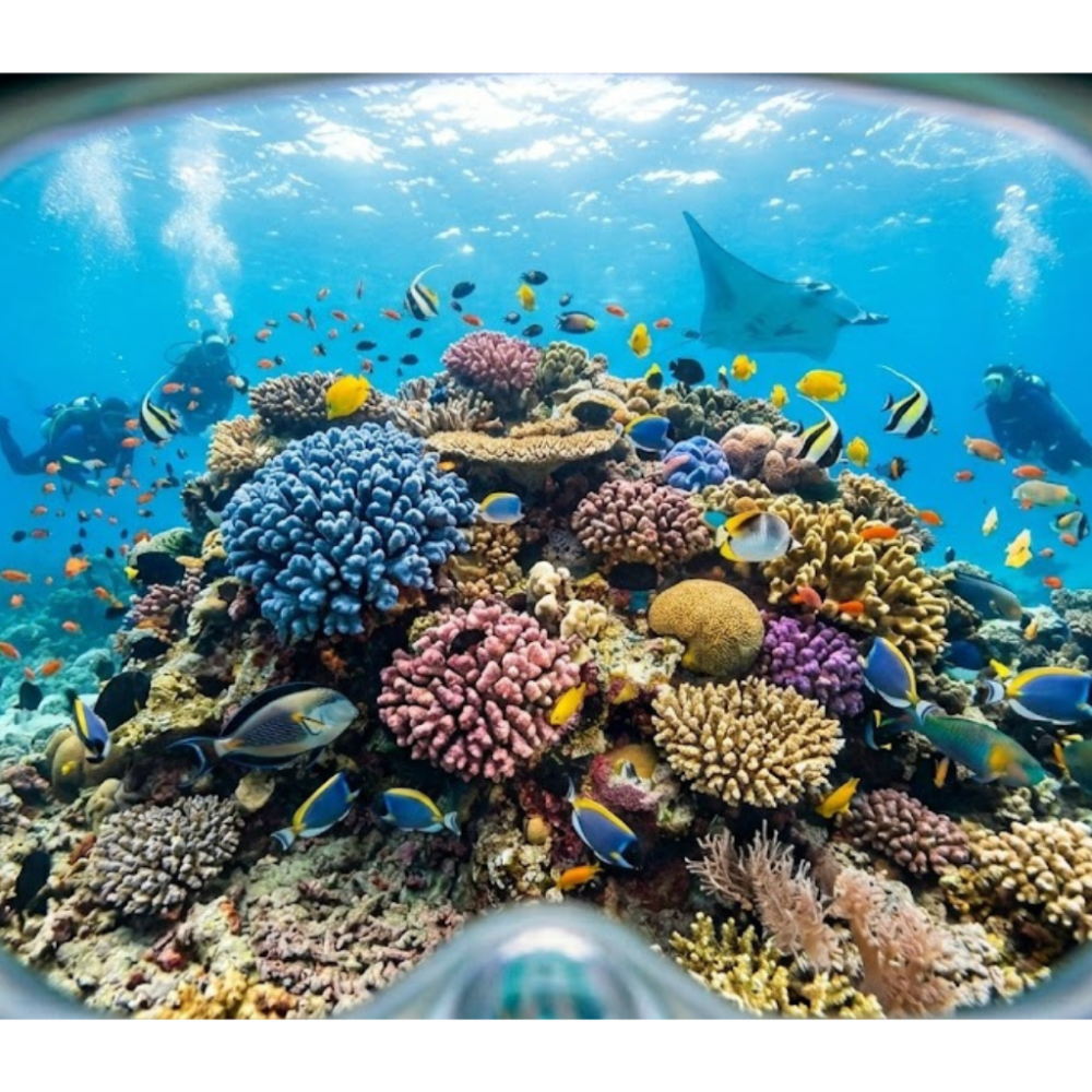 Colorful coral reef with fish and divers in clear water viewed through goggles.