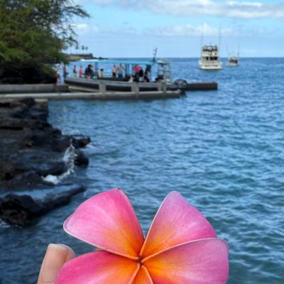 Hand holding pink flower with ocean and boats in the background.