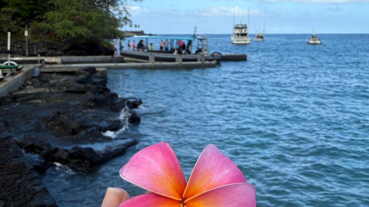 Hand holding pink flower with ocean and boats in the background.