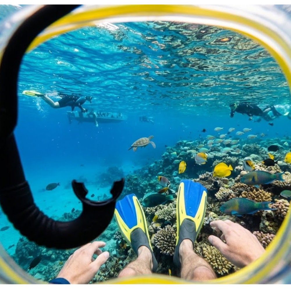 View through goggles of snorkeling with colorful fish, coral, and divers underwater.