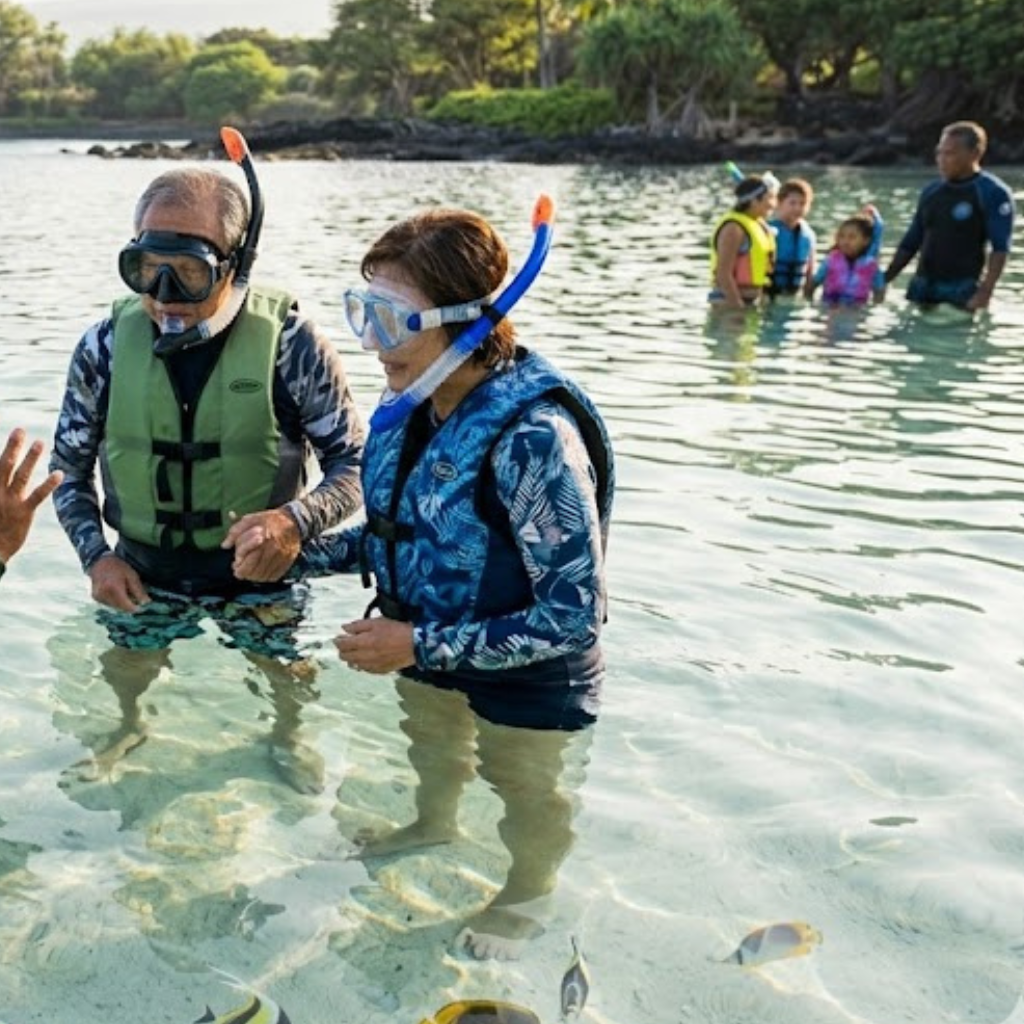 People snorkeling in shallow water with tropical fish.