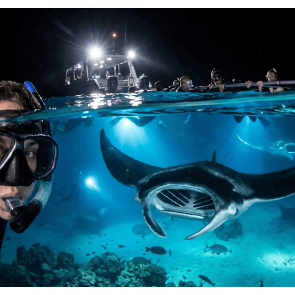 Snorkeler and manta ray underwater at night with a boat above.