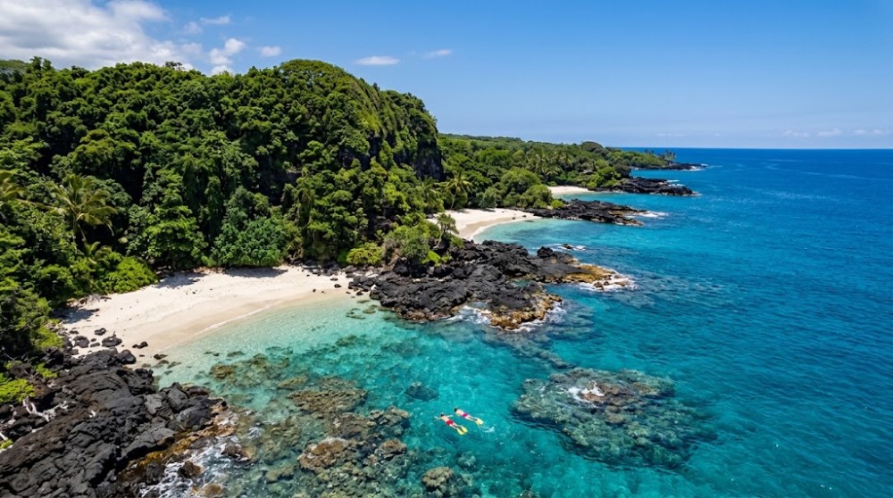 Aerial view of a tropical beach with lush greenery and turquoise water.