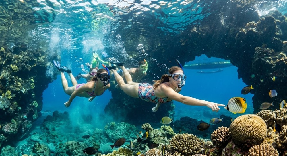 Two snorkelers in clear water exploring coral reefs with fish.